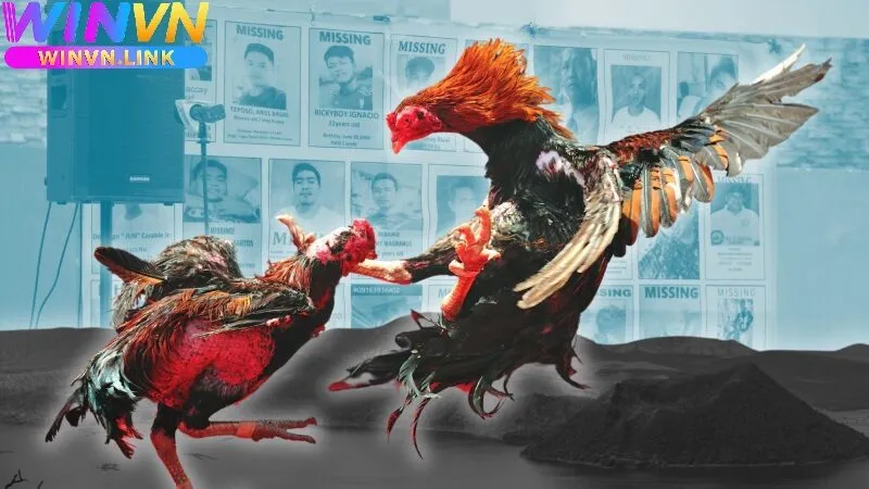 Đá Gà Philippines Winvn Là Gì?